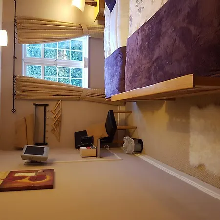 Stoops 3* Shillelagh