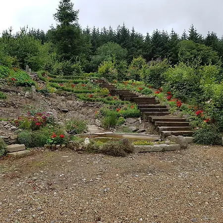 Πανσιόν Stoops Shillelagh