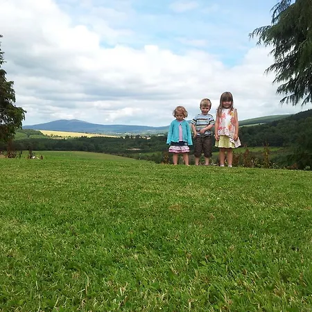 Stoops 3* Shillelagh