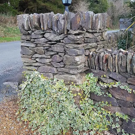 Stoops 3* Shillelagh