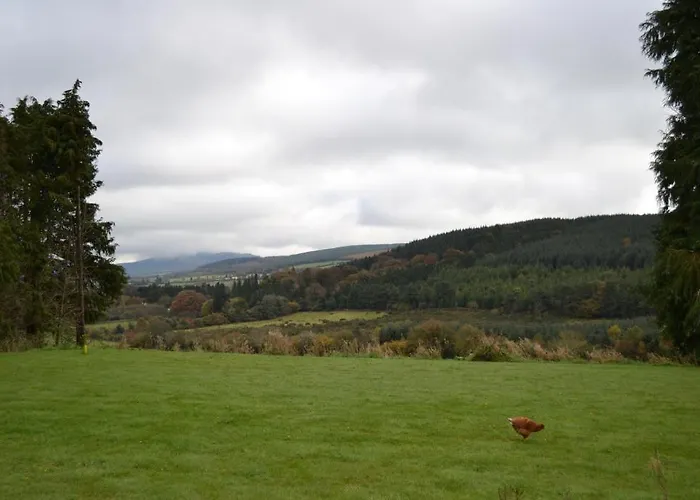 Guest house Stoops 3*