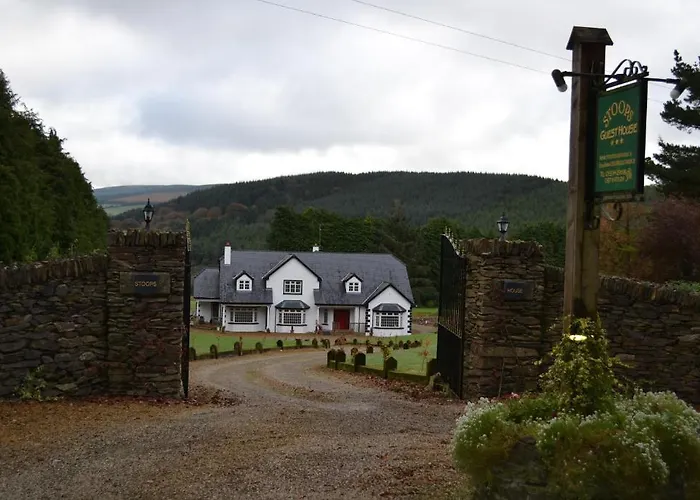 Stoops 3* Shillelagh