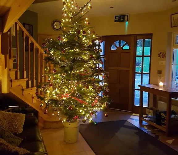 Guest house Stoops Shillelagh