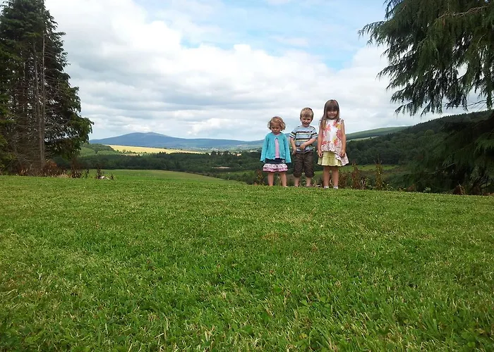 Stoops 3* Shillelagh