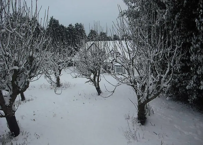 Stoops Guest house Shillelagh