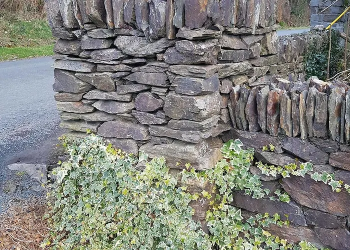 Stoops 3* Shillelagh